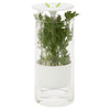 White/Clear Glass Herb Preserver